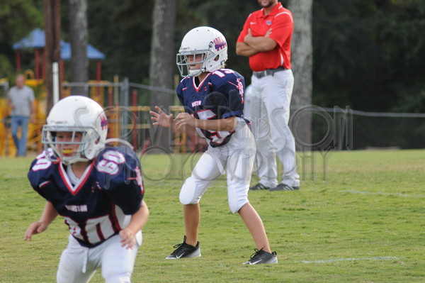 9-15 WA.vs OHA 044.JPG - SCRIVENER D300